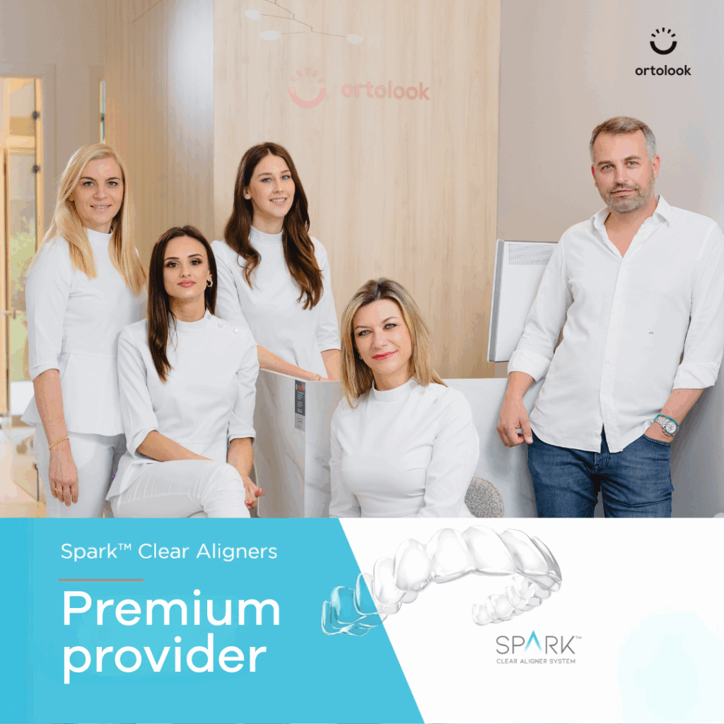 Ortolook-tim-i-priznanje-od-Sparka-za-Premium-providera